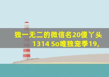 独一无二的微信名20傻丫头1314 So唯独宠季19,